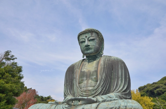鎌倉大佛冬季旅遊