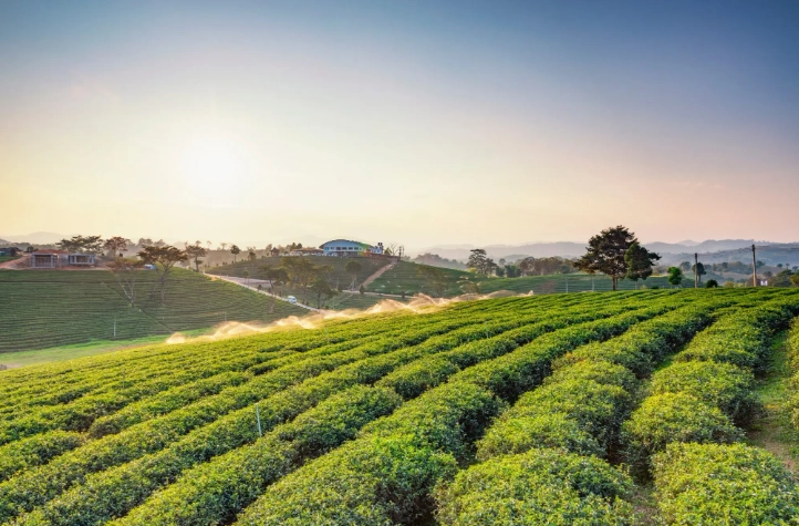 嘉義台南兩天一夜