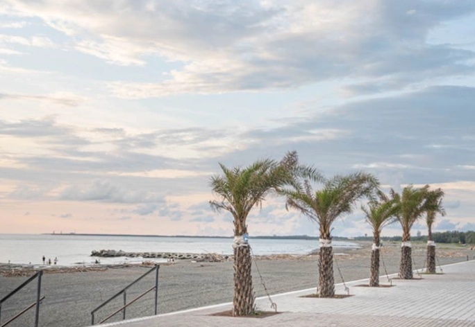 自由行行程規劃