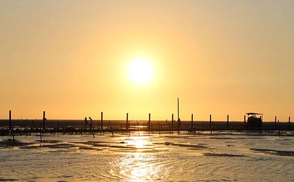 王功一日遊 王功一日遊