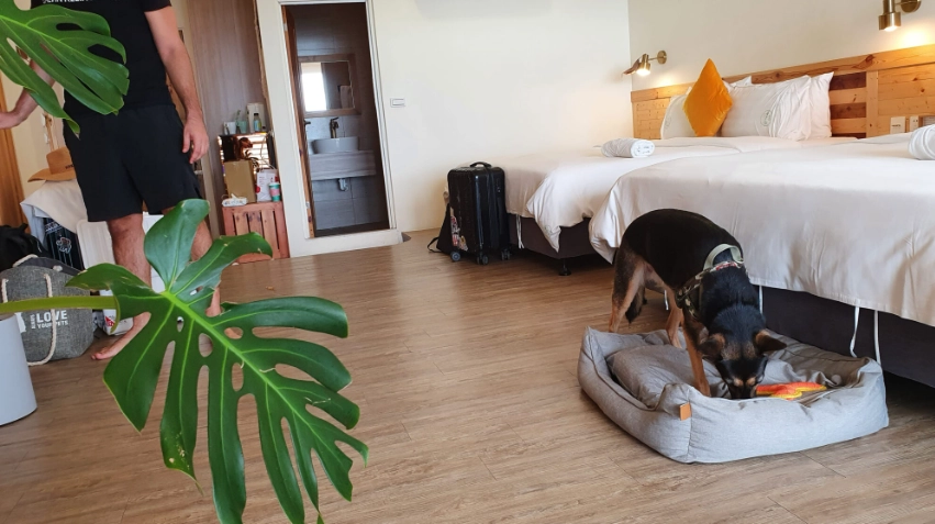 墾丁寵物友善室內景點