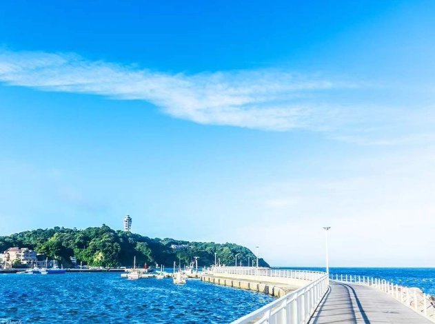 東京到鎌倉交通