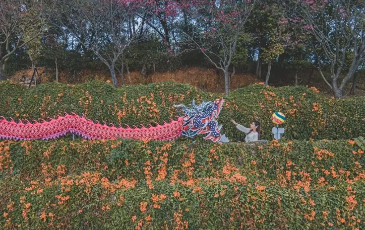 桃竹苗室內景點推薦：雨天備案、親子放電、情侶約會全攻略