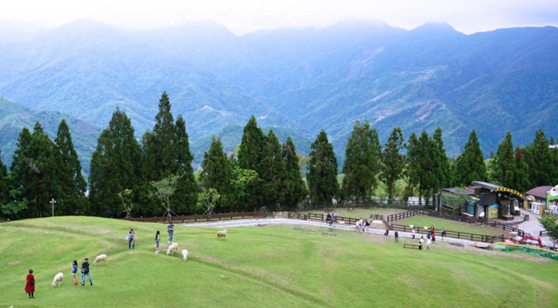 清境行程規劃 清境行程規劃