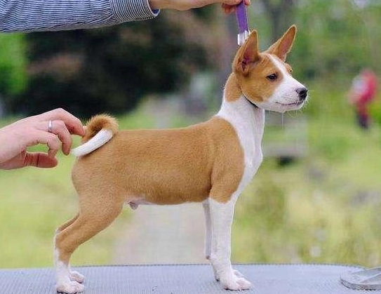 黑色素沉澱原因