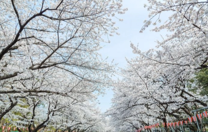 上野美食 上野美食