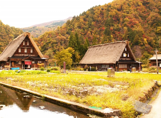 名古屋深度旅游 名古屋深度旅游