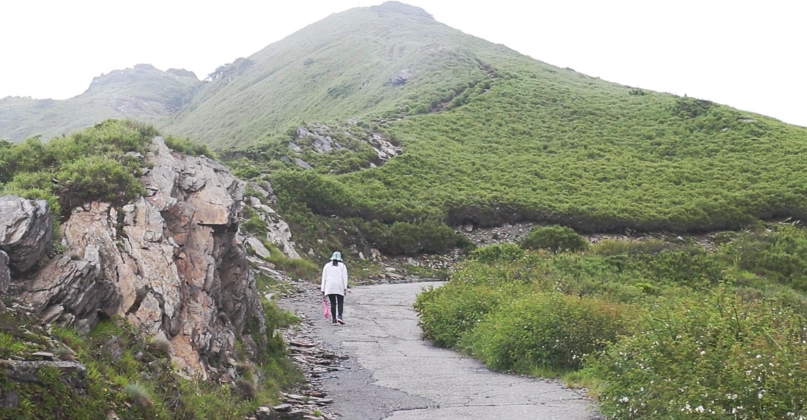 清境兩天一夜 清境兩天一夜