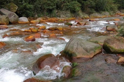 野溪溫泉秘境 野溪溫泉秘境
