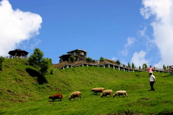 清境農場兩天一夜 清境農場兩天一夜