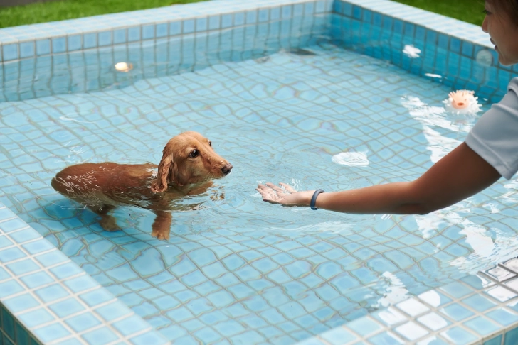寵物友善景點 宜蘭
