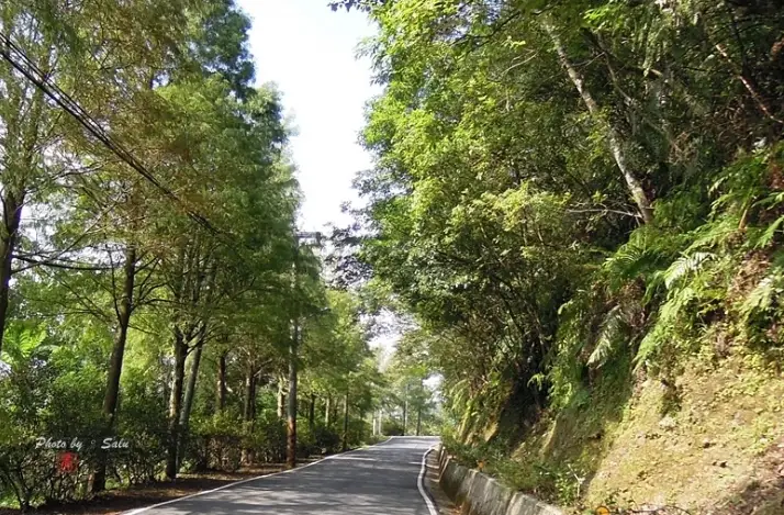 知本林道路況