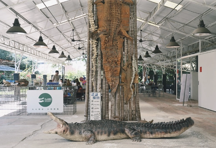 不一樣鱷魚農場