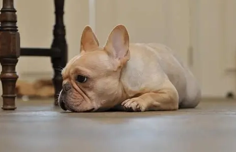 濕疹藥浴注意事項