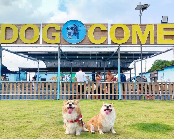 台北寵物友善餐廳