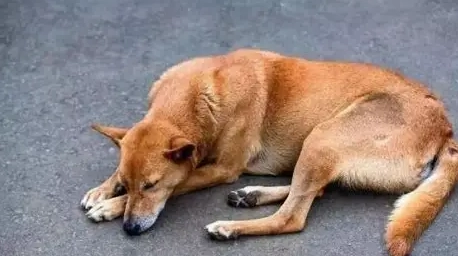 濕疹藥浴注意事項