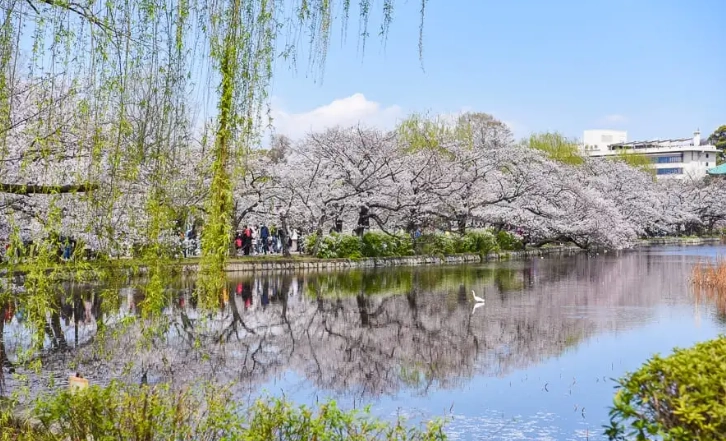 上野美食 上野美食