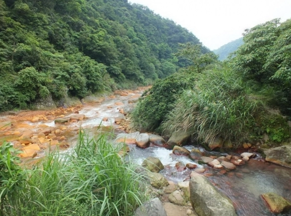 野溪溫泉步道 野溪溫泉步道