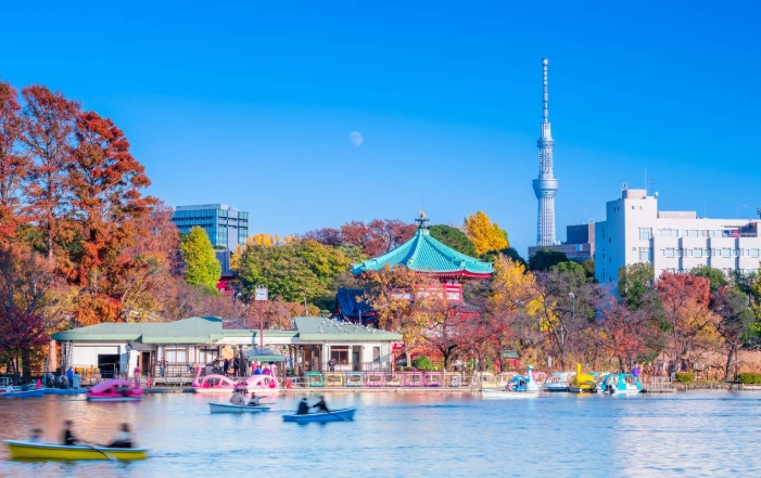 上野美食 上野美食
