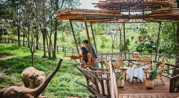 蘇梅島親子景點