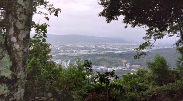 台北觀景台 台北觀景台