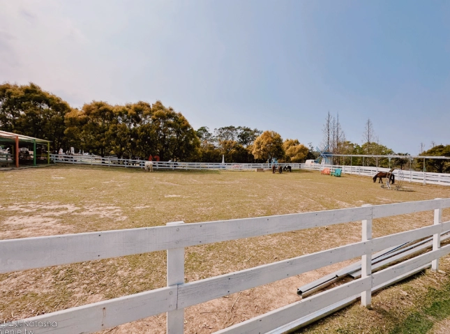桃園農場一日遊 桃園農場一日遊