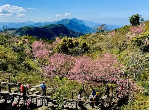 阿里山住宿 阿里山住宿