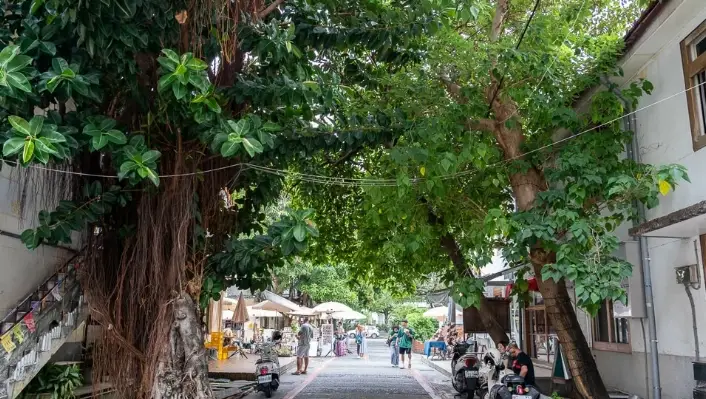 審計新村附近景點