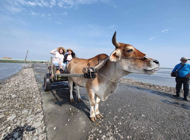 芳苑潮間帶 芳苑潮間帶