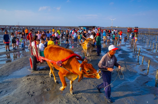 海牛生態體驗 海牛生態體驗