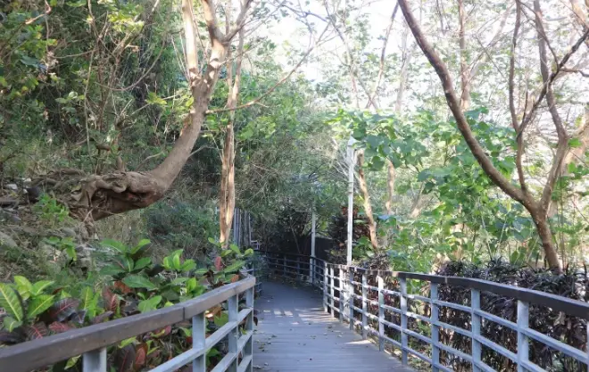 台東鯉魚山步道 台東鯉魚山步道