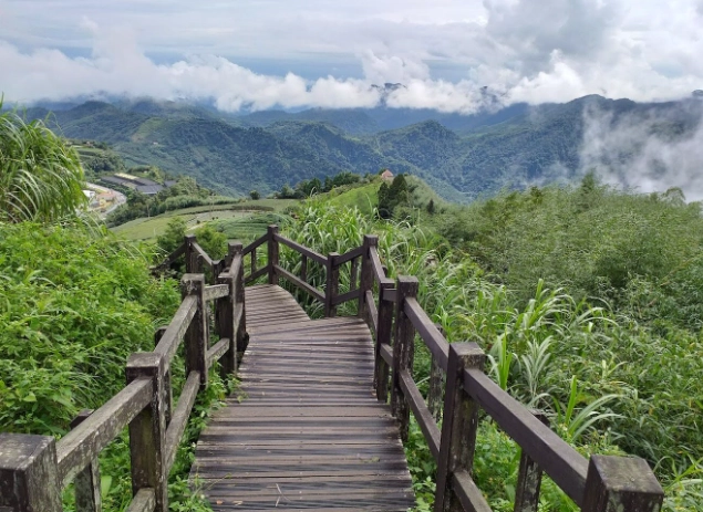 阿里山住宿 阿里山住宿