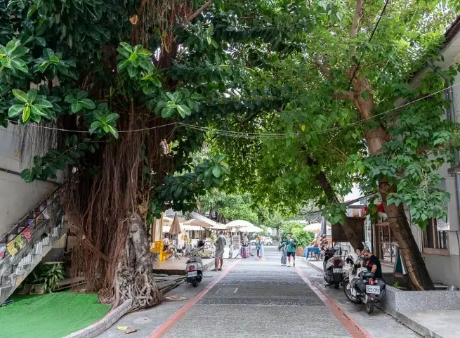 審計新村交通 審計新村交通