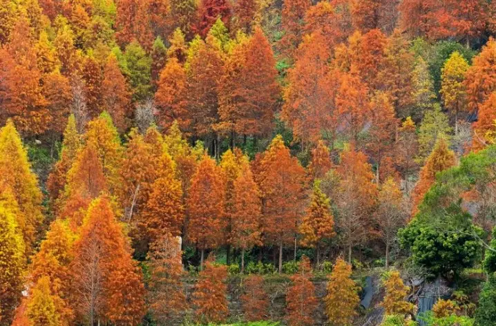 一日遊行程規劃 一日遊行程規劃