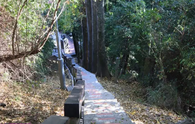 台東親子步道 台東親子步道