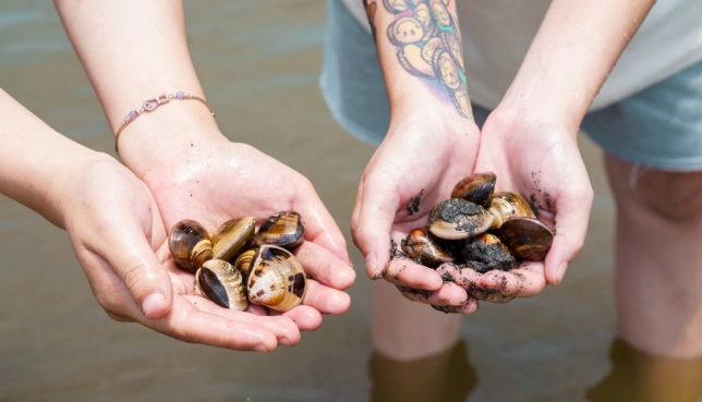 海牛生態體驗 海牛生態體驗