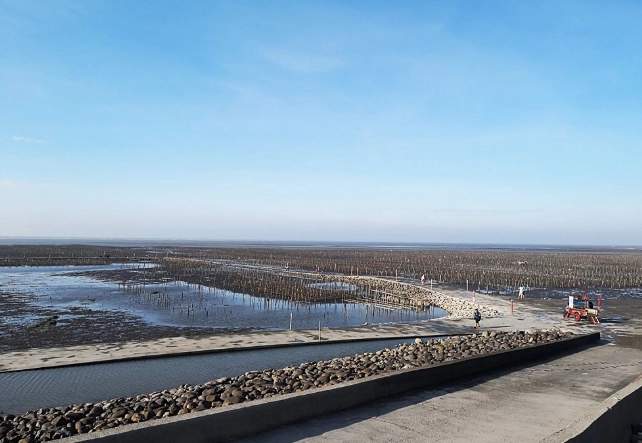 王功濕地 生態旅遊 王功濕地 生態旅遊