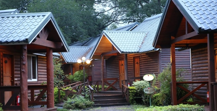 埔里寵物友善民宿 埔里寵物友善民宿