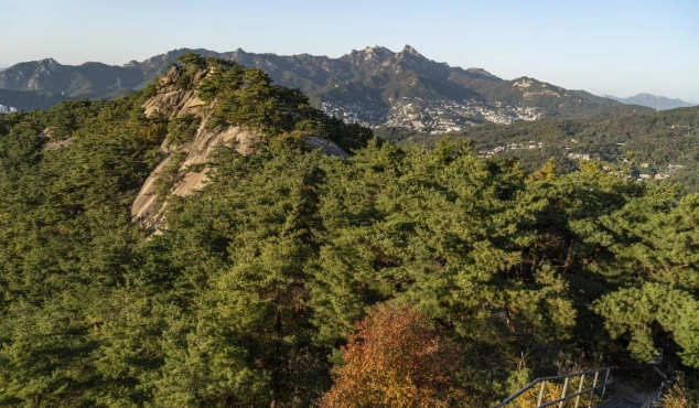 仁王山賞雪 仁王山賞雪