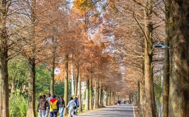 桃園農場一日遊 桃園農場一日遊