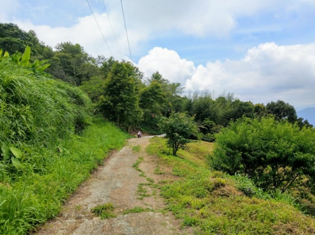 初音山榕樹社區 景點