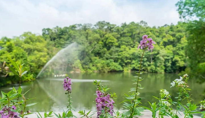 大湖旅遊景點 大湖旅遊景點