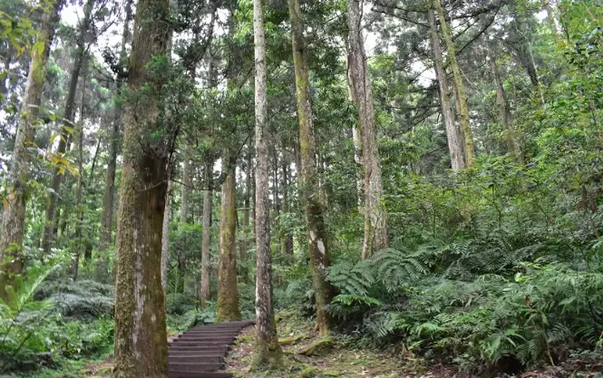 Google Maps高評分景點