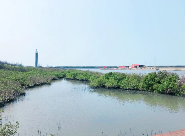 王功濕地 交通 王功濕地 交通