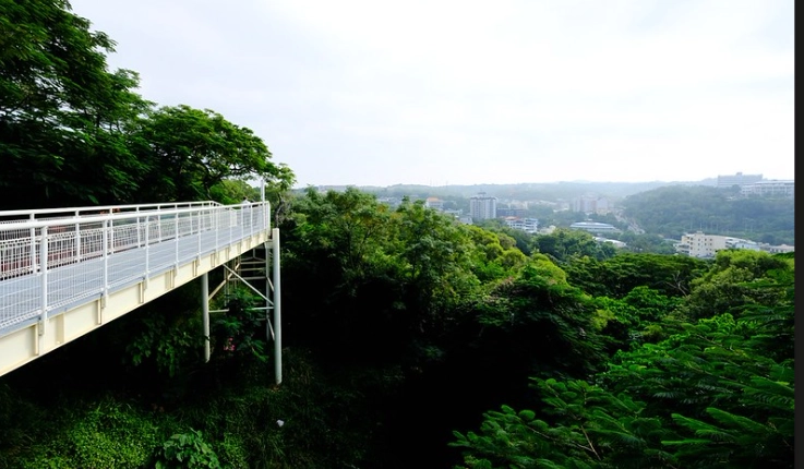 彰化銀髮族景點