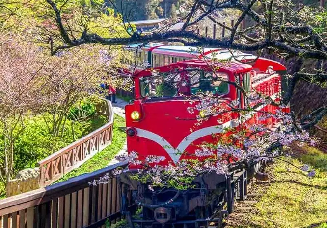 阿里山交通 阿里山交通