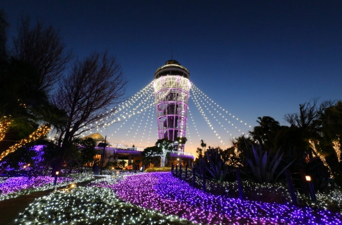 江之島冬季度假 江之島冬季度假