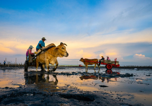 海牛生態體驗 海牛生態體驗