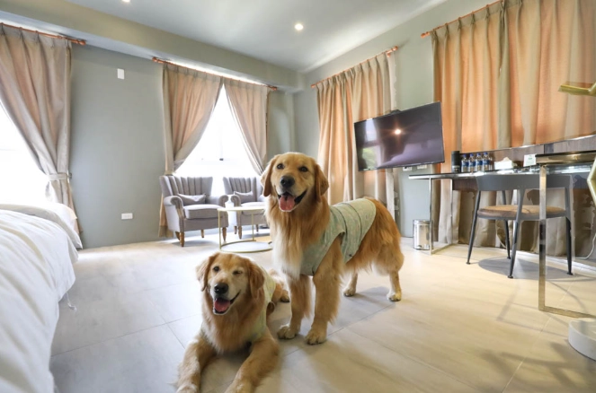 埔里寵物友善住宿