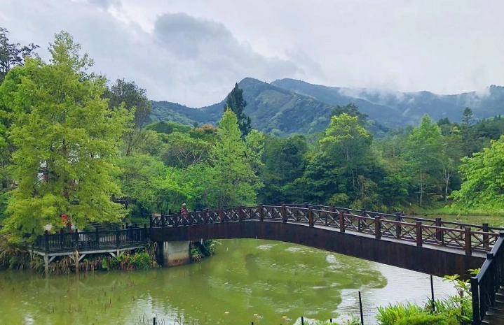 苗栗巧克力雲莊